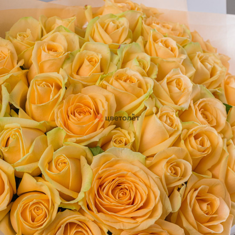 Букет роз Пич Аваланж 35 шт