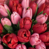Микс розово-красных тюльпанов, 25 шт