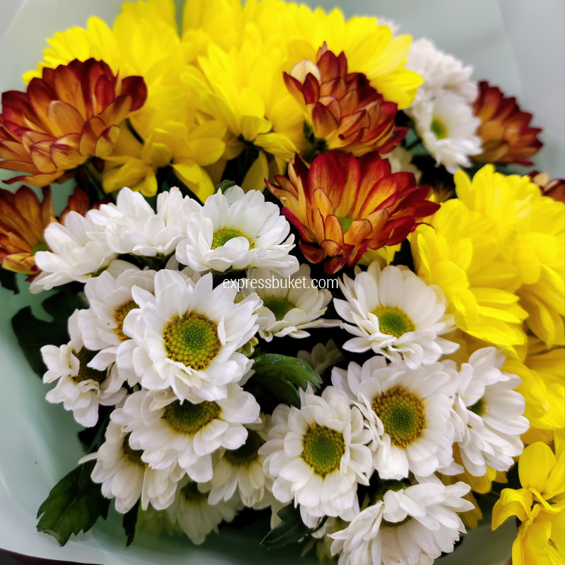 Букет из 9 разноцветных хризантем